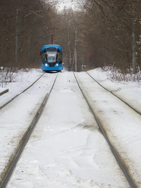 Moskova Daki Sokolniki Kış Parkında Mavi Tramvay — Stok fotoğraf