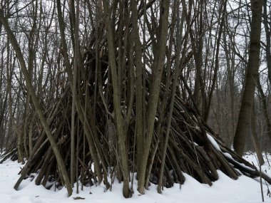 Kış ormanında sopalardan yapılmış bir çadır.