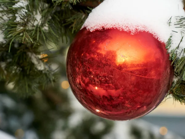 Palla Rossa Sull Albero Natale Inverno — Foto Stock