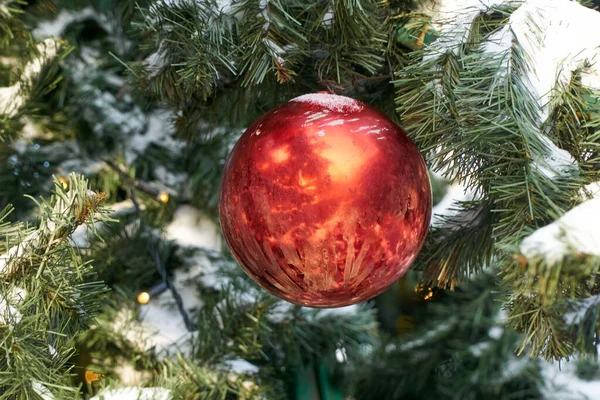 Bola Roja Árbol Navidad Invierno —  Fotos de Stock