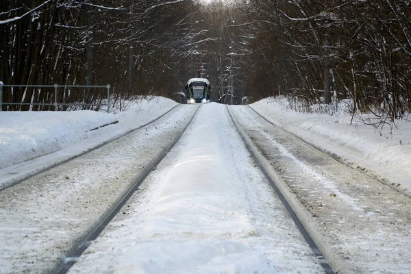 Московський Трамвай Вкритому Снігом Парку Сокольники Взимку — стокове фото