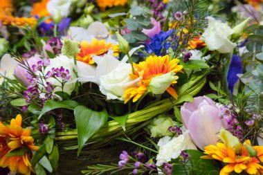 Moskova, Rusya - 24.03.2018: Moskova 'daki Rus Ulusal Muhafız Birlikleri Günü kutlamaları