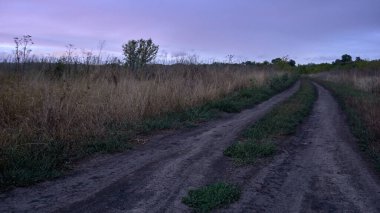 Tarlalar ve ağaçlar arasında uzanan köy yolu