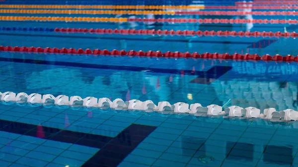 Moskova, Rusya - 29.11.2018: Dinamo spor camiasının Rus yüzme yarışmaları