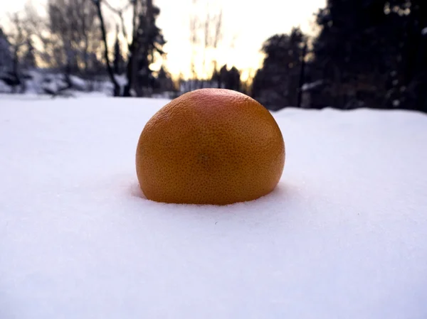 Frukt i snön — Stockfoto