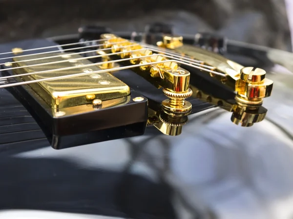 Les Paul Guitar yakın çekim