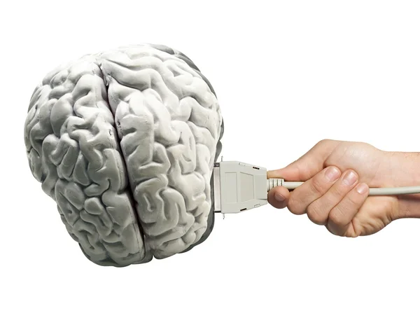Modello di cervello umano con connessione al computer . — Foto Stock