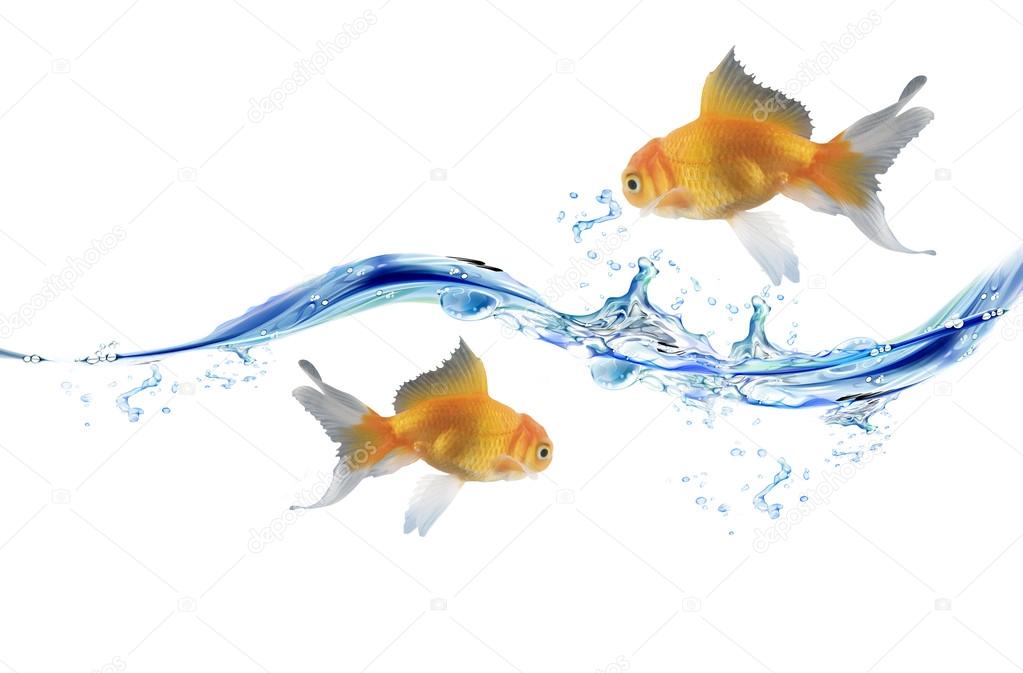 Gold fishes jumping over slash blue water.w