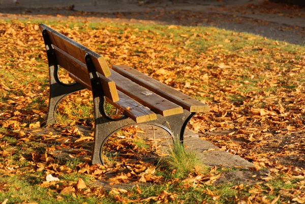 Ξύλινο παγκάκι στο πάρκο φθινόπωρο Φωτογραφία Αρχείου