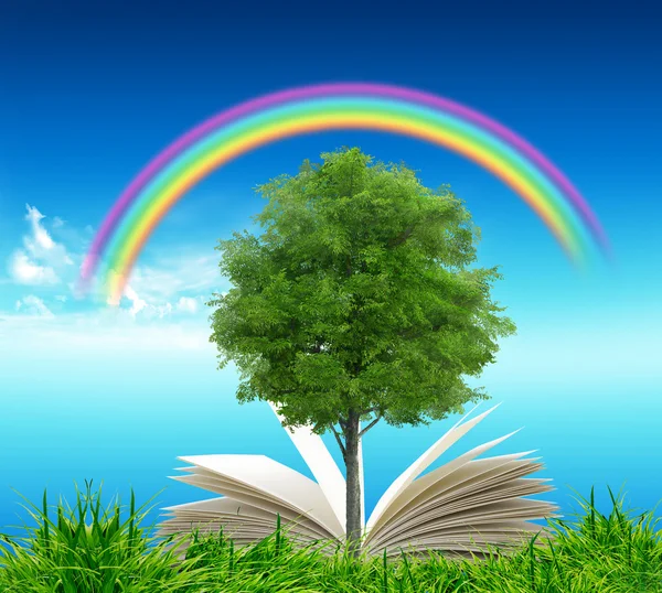 Livro aberto em grama verde sobre o céu azul e arco-íris — Fotografia de Stock