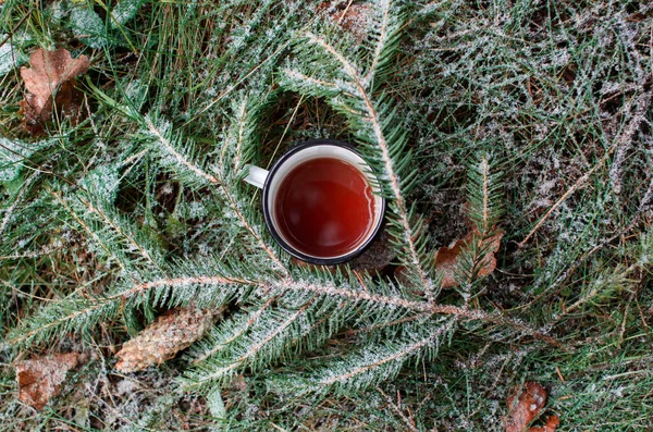 Mug of hot drink standing on the grass, top view. The first snow on the grass and the Christmas tree branch. Concept for winter drink, hike, picnic