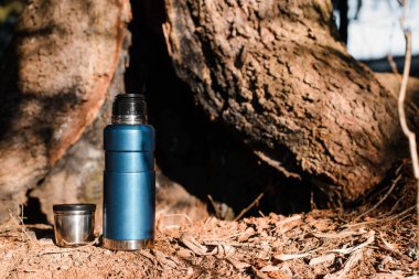 Güneşli bir ormanda duran termos ve kupa. Süpürge seyahat şişesi. Kamp konsepti, seyahat ekipmanı, macera.