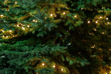 Dışarıdaki ağaçta çelenk var. Noel ışıklarıyla süslenmiş Noel ağacı. Seçici odak