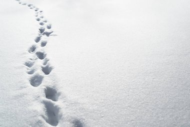 Kardaki derin ayak izleri, kopyalama alanı. Kar fırtınası sonrası kar yağışı, yollar temizlenmemiş..