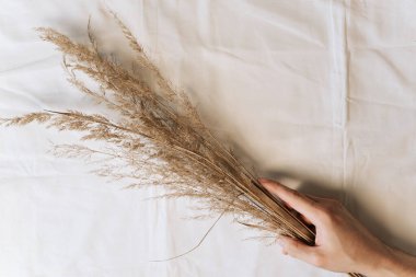 Kumaşın arka planında kuru çim çivileri tutuyor. Üst görünüm