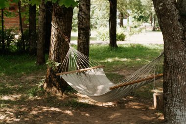 Orman kampında asılı hamak. Açık hava dinlenme alanı. Seçici odak