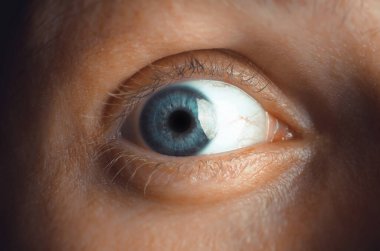 Yanlara bakan insan gözünün yakın çekimi, korkmuş ya da şaşırmış bir erkek gözbebeğinin makro fotoğrafı. Mavi gözlü iris üzerine seçici odaklanma