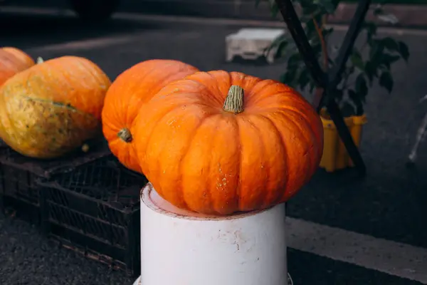 Grande Vente Citrouille Orange Dans Marché Rue Concentration Sélective Sur — Photo