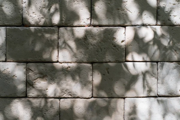 Textured Background Stone Wall Shadow Tree Outdoors Rough Decorative Light — Stock Photo, Image