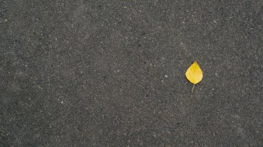 Üst manzara, koyu asfalt üzerinde düşen tek sarı sonbahar yaprağı, sonbahar afişini kopyalayın. Desenli arkaplan, konsept merhaba..
