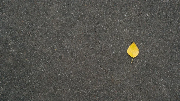 Pohled Shora Jediný Padlý Žlutý Podzimní List Tmavém Asfaltu Kopírovat — Stock fotografie