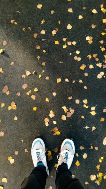 Sonbahar arkaplan üstü görünümü. Islak asfalt üzerinde duran adam düşmüş sarı yapraklarla kaplıdır, Pov. Dikey fotoğraf