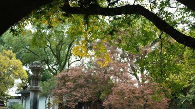 Geleneksel isimle güzel ve eski Çin bahçe manzarası