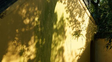 Geleneksel isimle güzel ve eski Çin bahçe manzarası