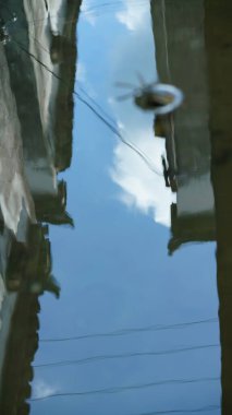 Eski ve geleneksel Çin binaları içinde eski atamalar ve heykeller var.