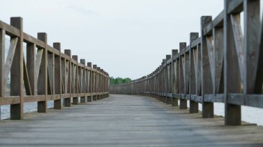 Yol manzarası parktaki yeşil bitki tarafından gizlenmiş.