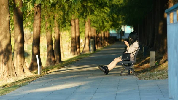 Bir kız parkta gün batımının altında iPhone 'unu izliyor.