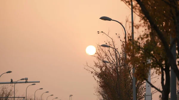 Вид Захід Сонця Теплим Сонячним Світлом Різнокольоровими Хмарами Місті — стокове фото