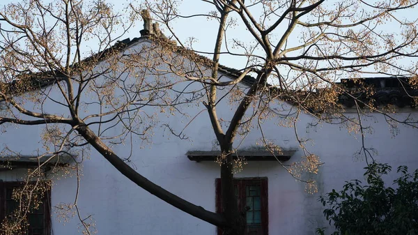 Régi Klasszikus Kínai Architektúrák Fekete Csempe Tető Fehér Fal Kijelölése — Stock Fotó
