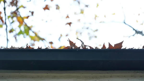 Der Herbstblick Der Stadt Mit Den Bunten Herbstblättern Den Bäumen — Stockfoto
