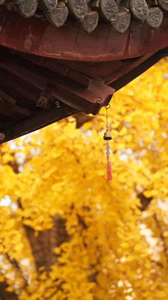 Die Schöne Herbstlandschaft Mit Den Gelben Herbstblättern Als Hintergrund Herbst — Stockfoto