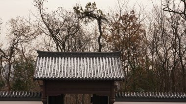 Renkli sonbahar yapraklarıyla ve beyaz karla kaplı güzel Çin bahçesinin sonbahar manzarası.