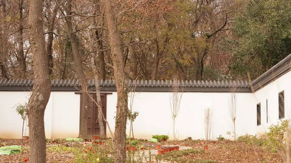 Belo Jardim Chinês Antigo Vista Outono Com Folhas Coloridas Outono — Fotografia de Stock