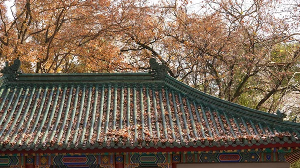 The old Chinese architecture view surrounded by the autumn trees in China in one park