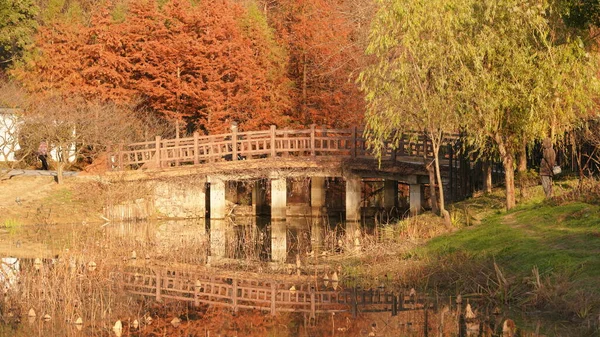 Het Prachtige Herfstbos Uitzicht Met Kleurrijke Bomen Reflectie Het Water — Stockfoto