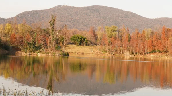 Güzel Sonbahar Orman Manzarası Renkli Ağaçlar Parktaki Sudaki Yansıma — Stok fotoğraf