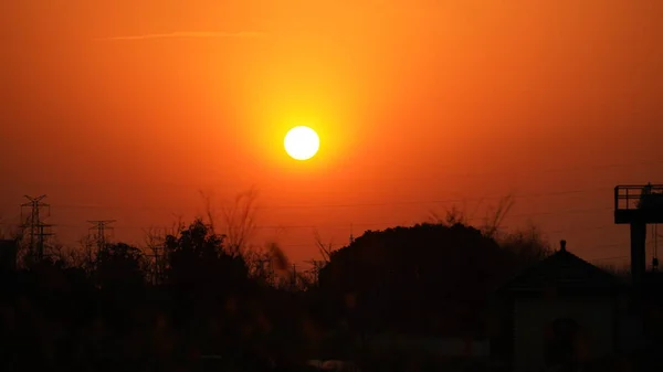 Piękny Widok Zachodu Słońca Miękkimi Trzcinami Latającymi Wietrze Zimie — Zdjęcie stockowe