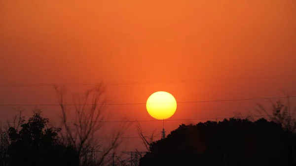 冬には風に舞う柔らかい葦が美しい夕日の景色 — ストック写真