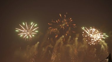 Karanlık gökyüzündeki güzel havai fişek gösterisi