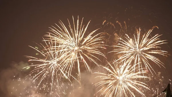 Das Schöne Feuerwerk Dunklen Himmel — Stockfoto