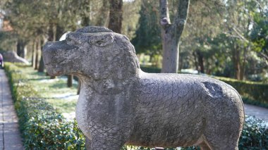 Çin 'in Nanjing şehrinde bulunan eski taş heykeller.