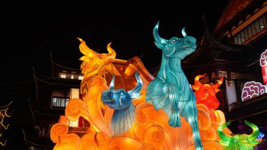 Fenerler Çin 'deki festival günlerinde çok güzel görünüyor.