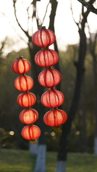 Der Schöne Laternenblick Den Festtagen China — Stockfoto