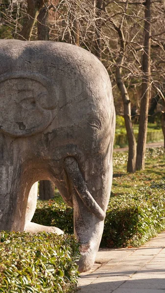 Staré Kamenné Sochy Nacházejí Nanjing Města Číny — Stock fotografie