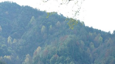 Çin 'in güneyinde nehir ve dağlarla güzel bir kır manzarası.