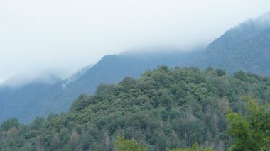Çin 'in güneyinde nehir ve dağlarla güzel bir kır manzarası.